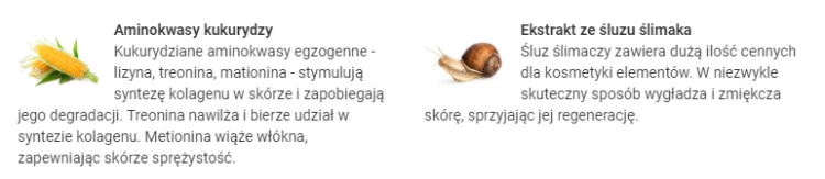 ŚLIMAK DO RĄK.PNG